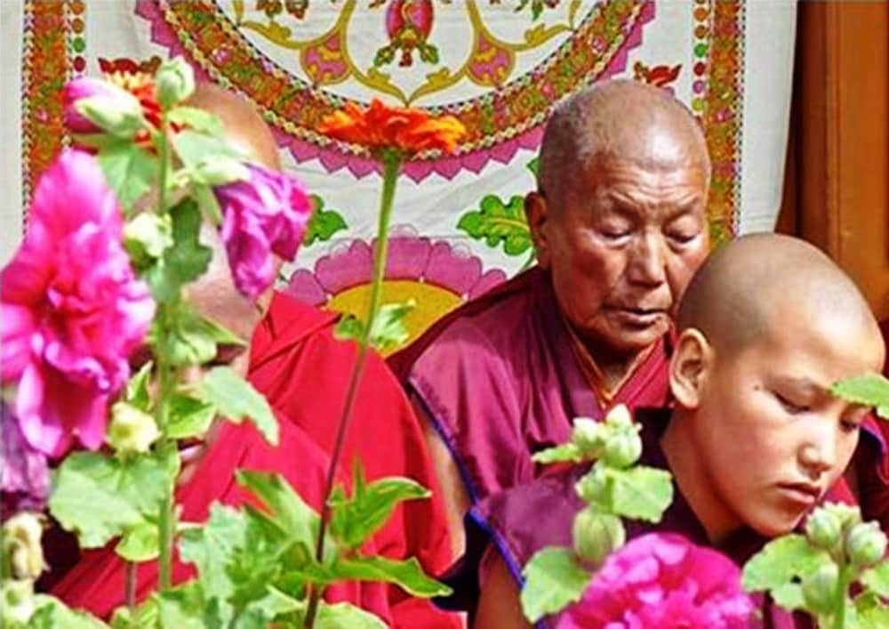 Фото Tih Namra Village Hotel - Temisgam