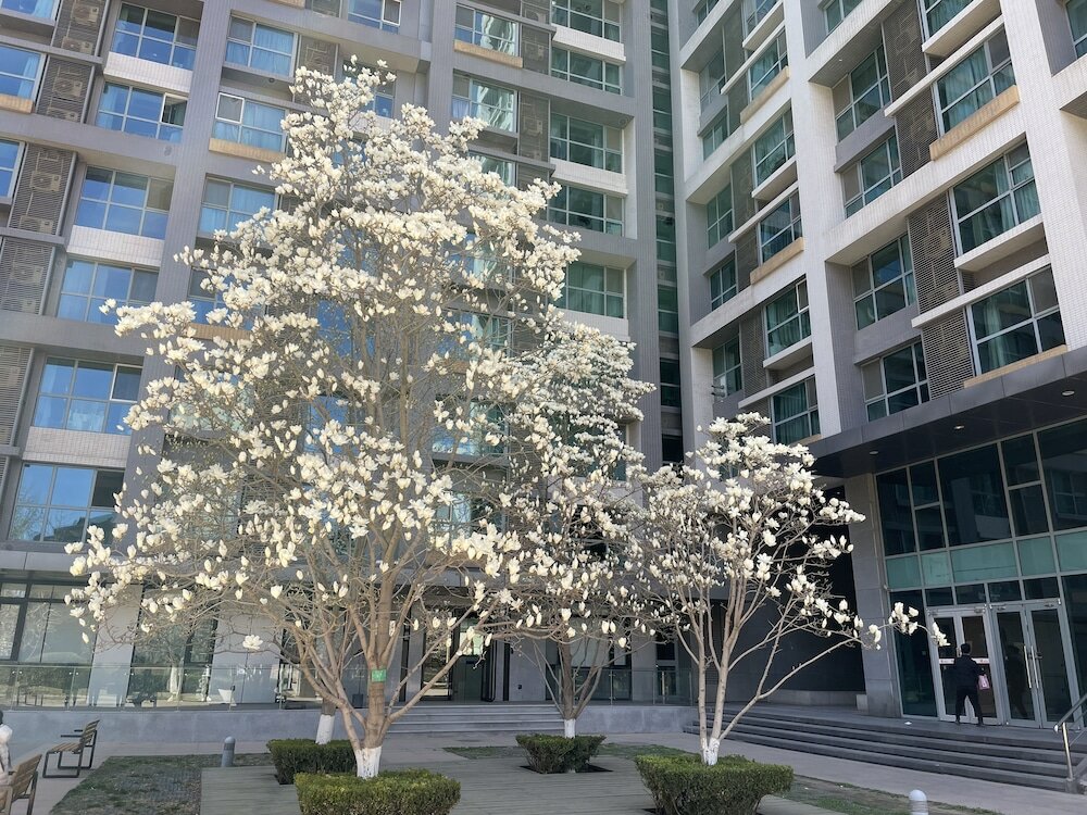 Фото Beijing Seasons Park Apartment