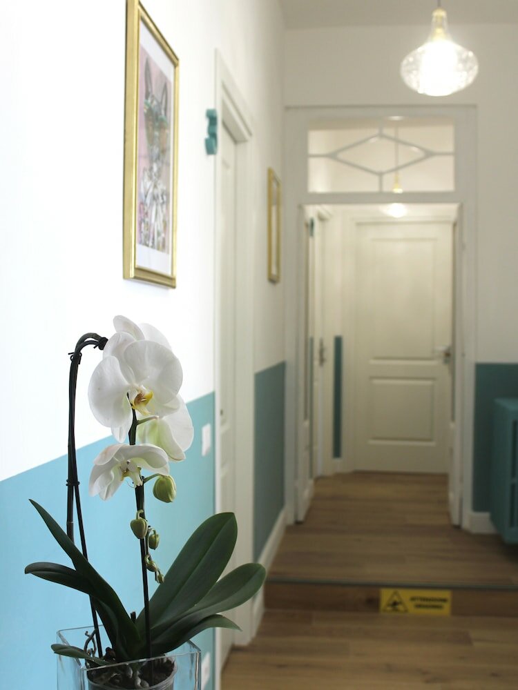 Фото Ottantotto Viterbo