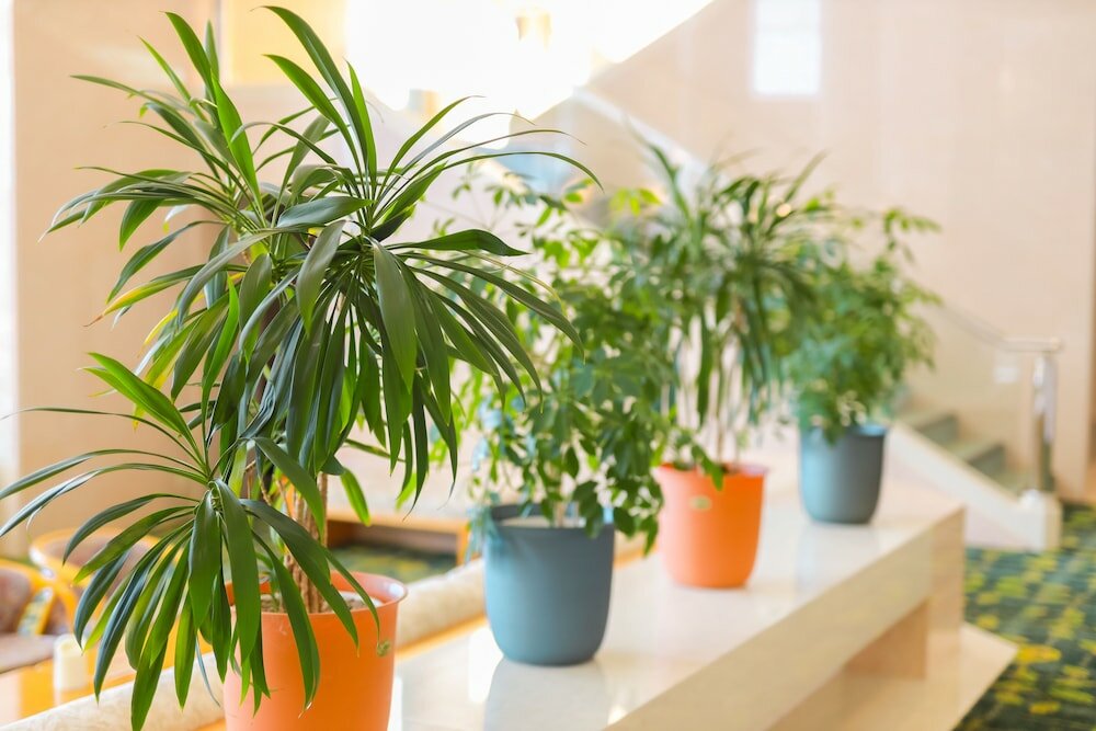 Фото Chateraise Hotel Nirasaki Forest