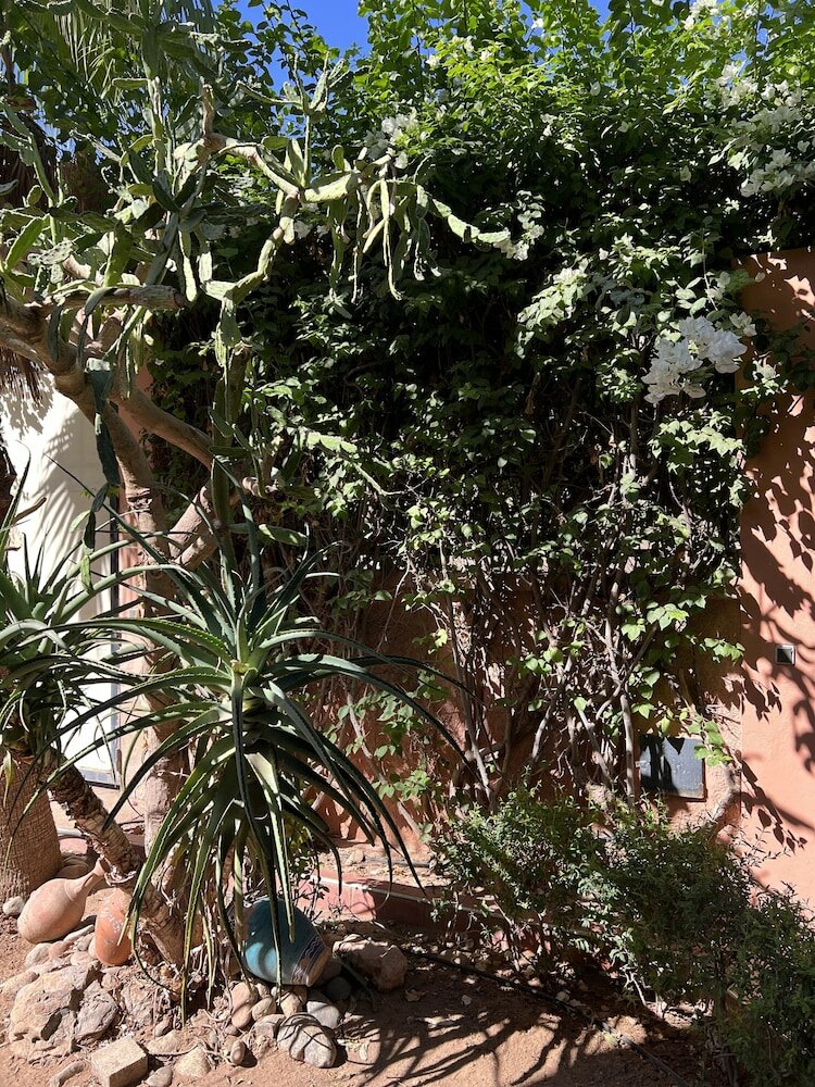 Фото Villa Nella