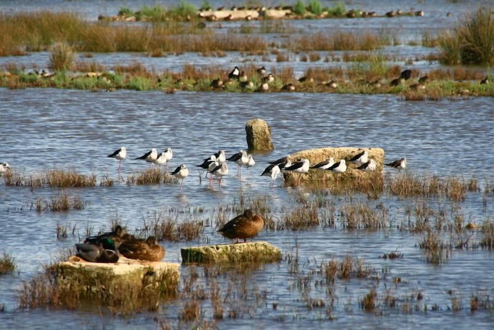 Фото Hotel Vista Park