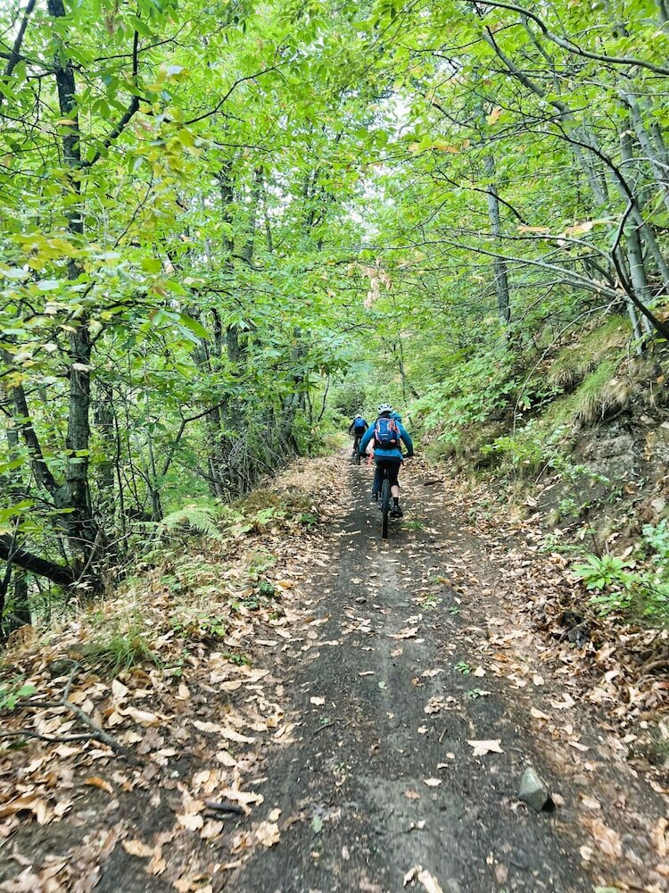 Фото B & B in Barga breakfast included