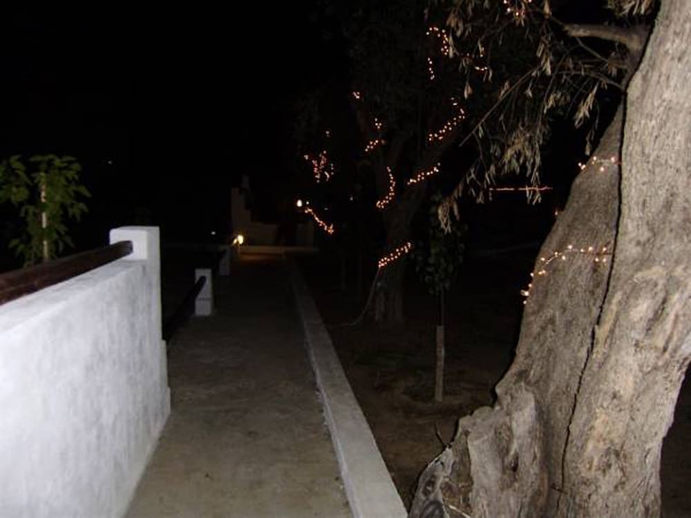 Фото Skiathos Petite Apartments