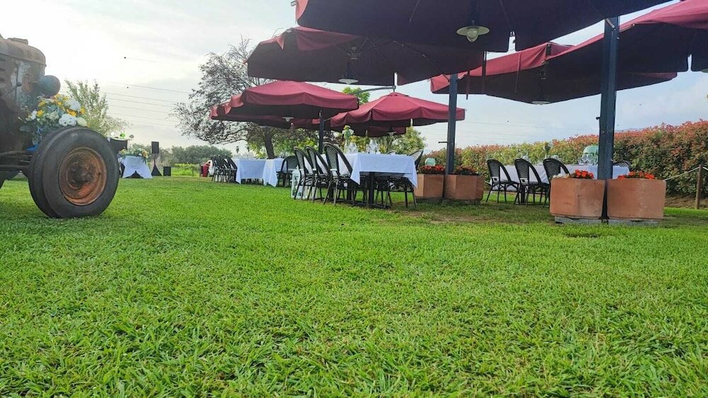 Фото Calendiluna