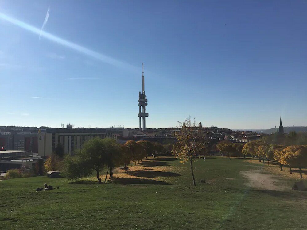 Фото Ground Floor Apartment