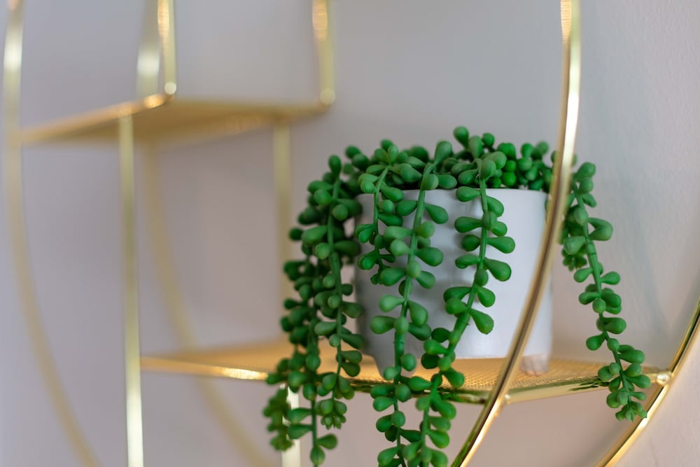 Фото Walker Suite № 82 - Donnini Apartments