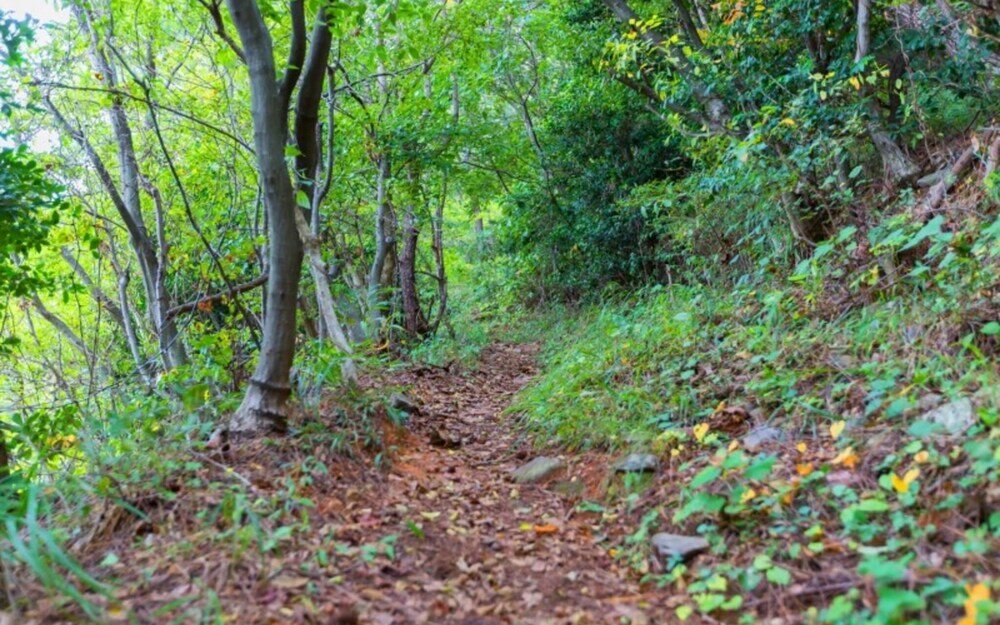 Фото Yeosu Ocean View Pension