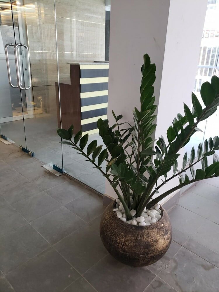 Фото Amazinn Suites