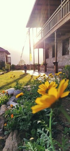 Гостиница Kyirmu Lodge Phaplu