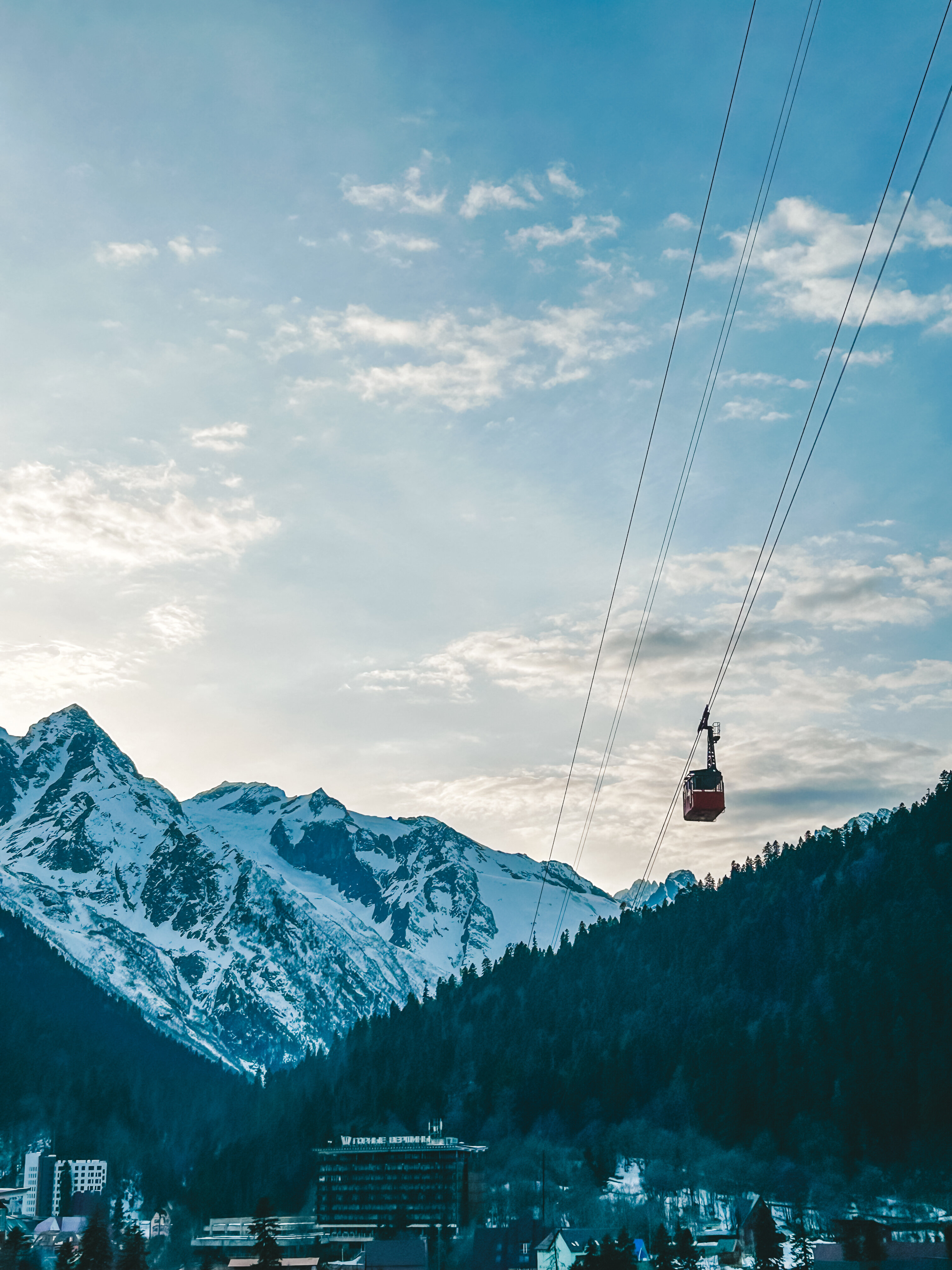 Фото Альпийский