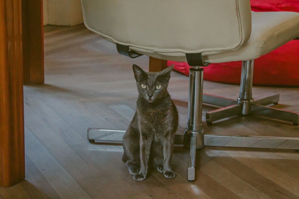 Фото Vila Santa Eulália Hostel