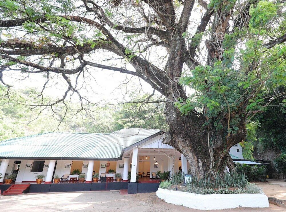 Фото Belihuloya Rest House