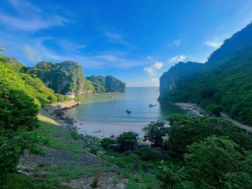 Фото Tropical Retreat Homestay