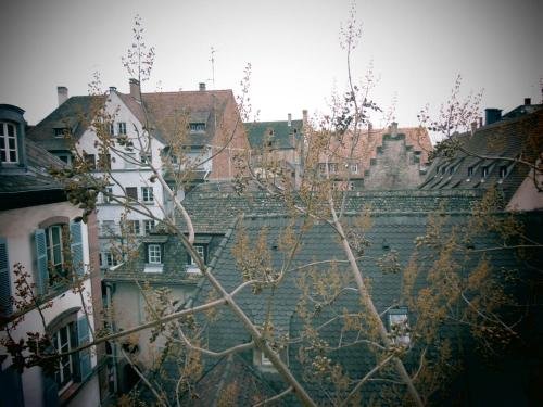 Фото Hotel Patricia