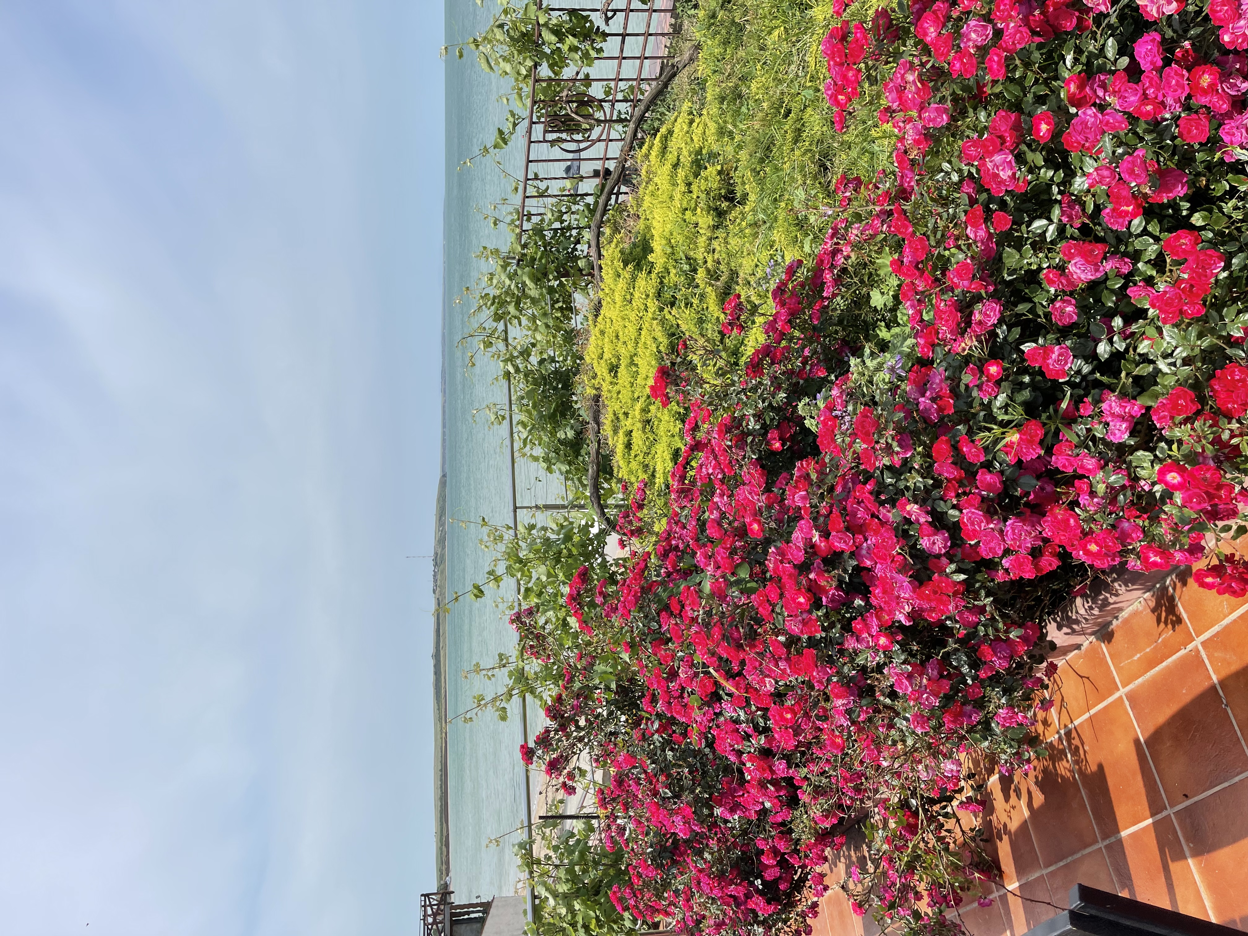 Фото Бирюзовая бухта