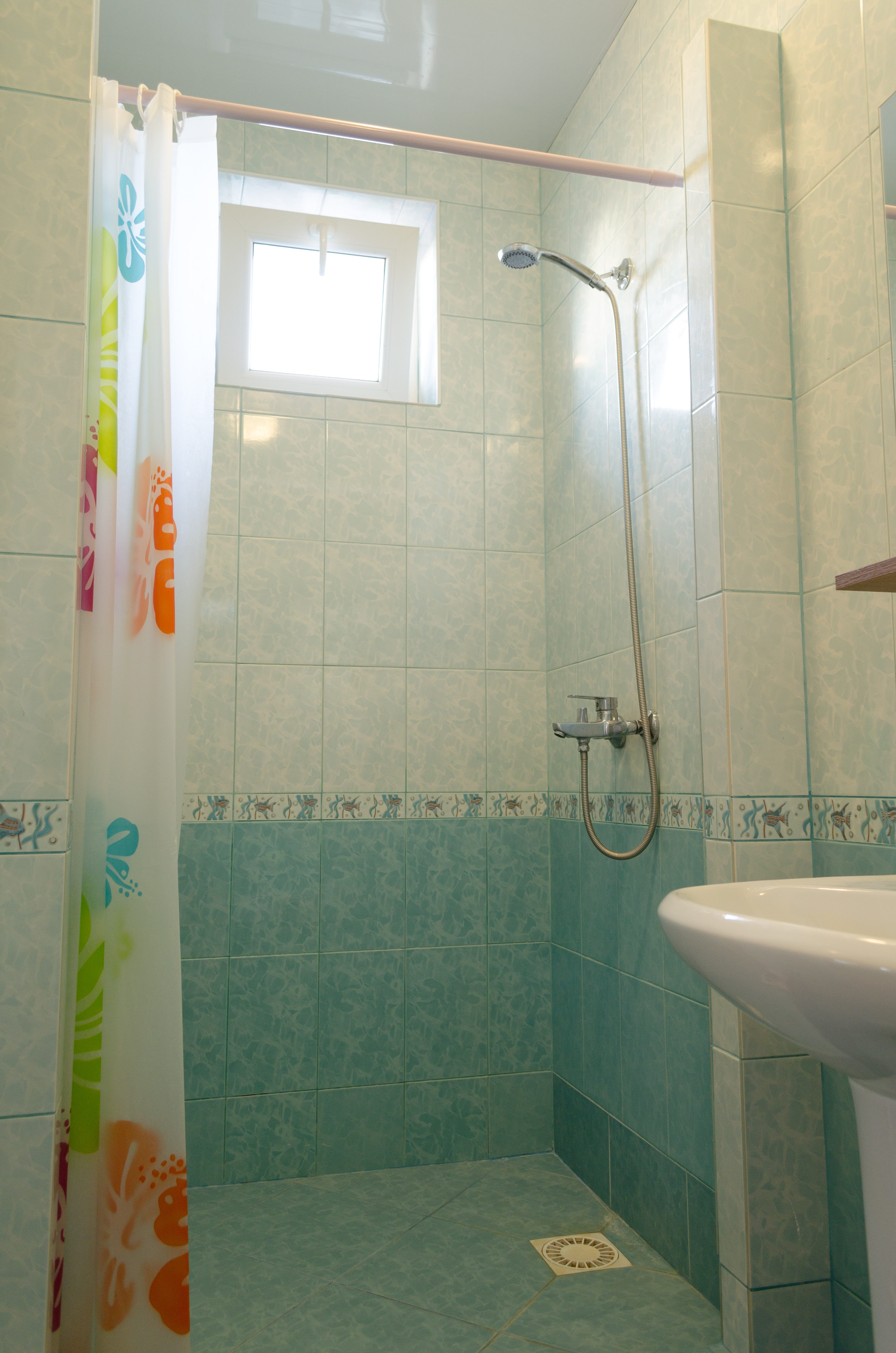 Фото Глициния