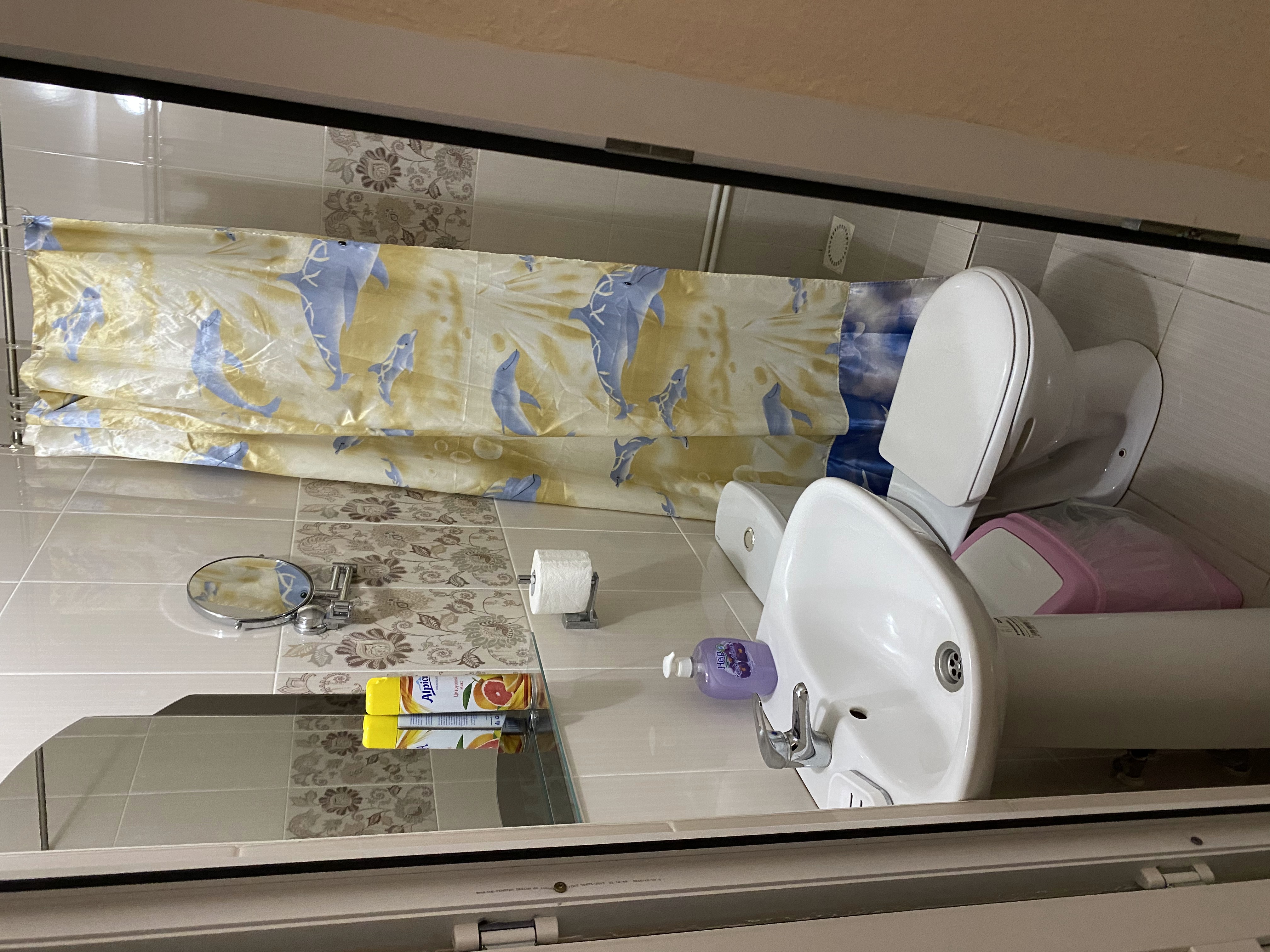 Фото Жасмин