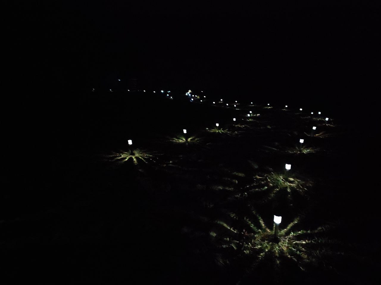 Фото Лагонаки Глэмп