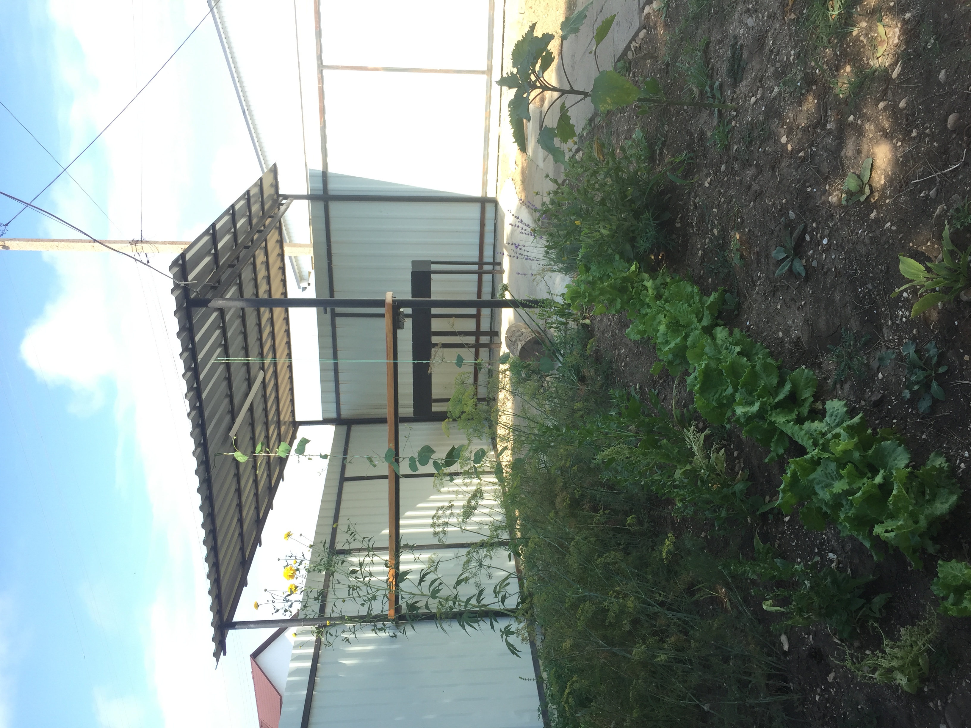 Фото На море