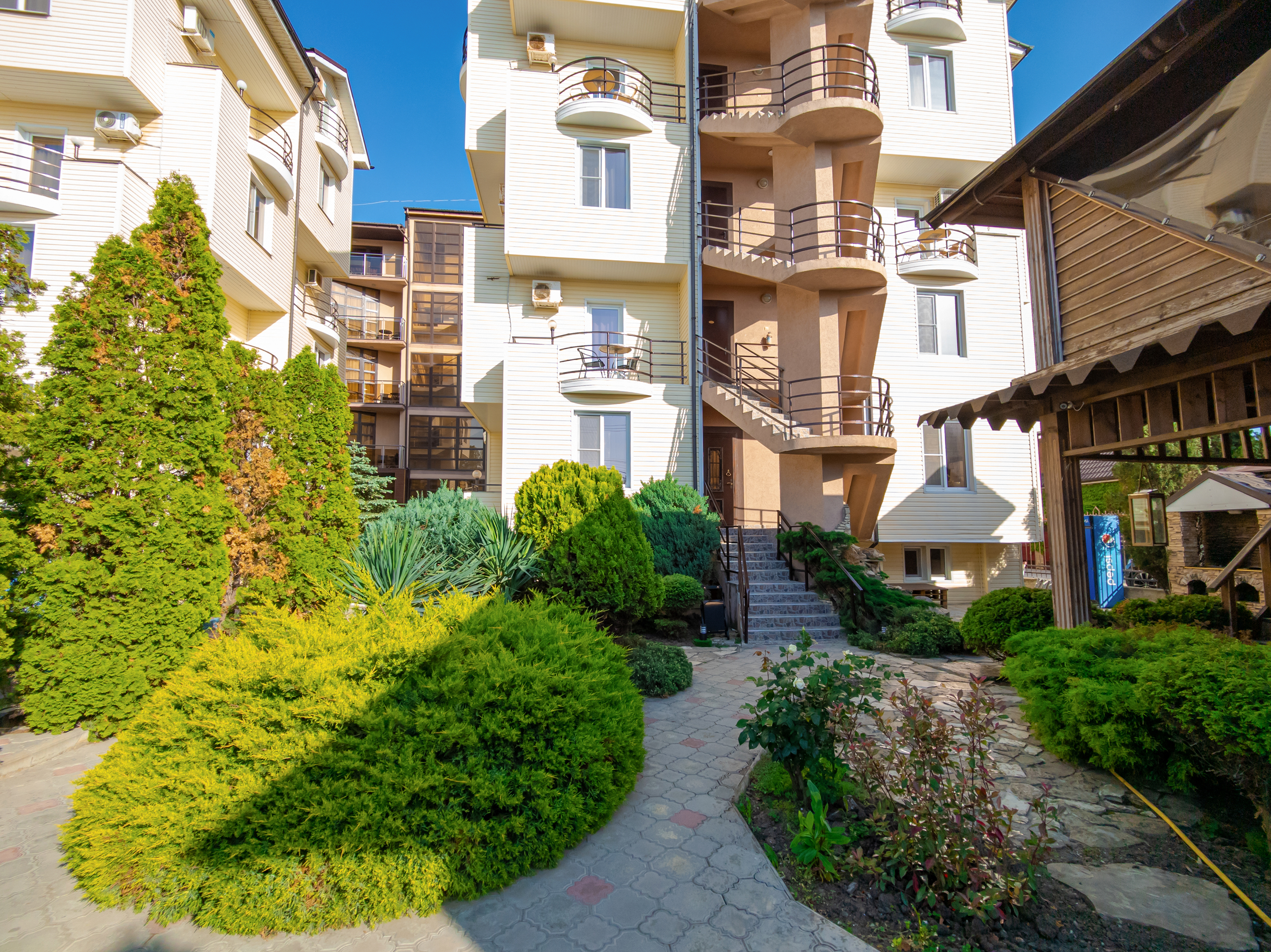 Фото Золотое руно