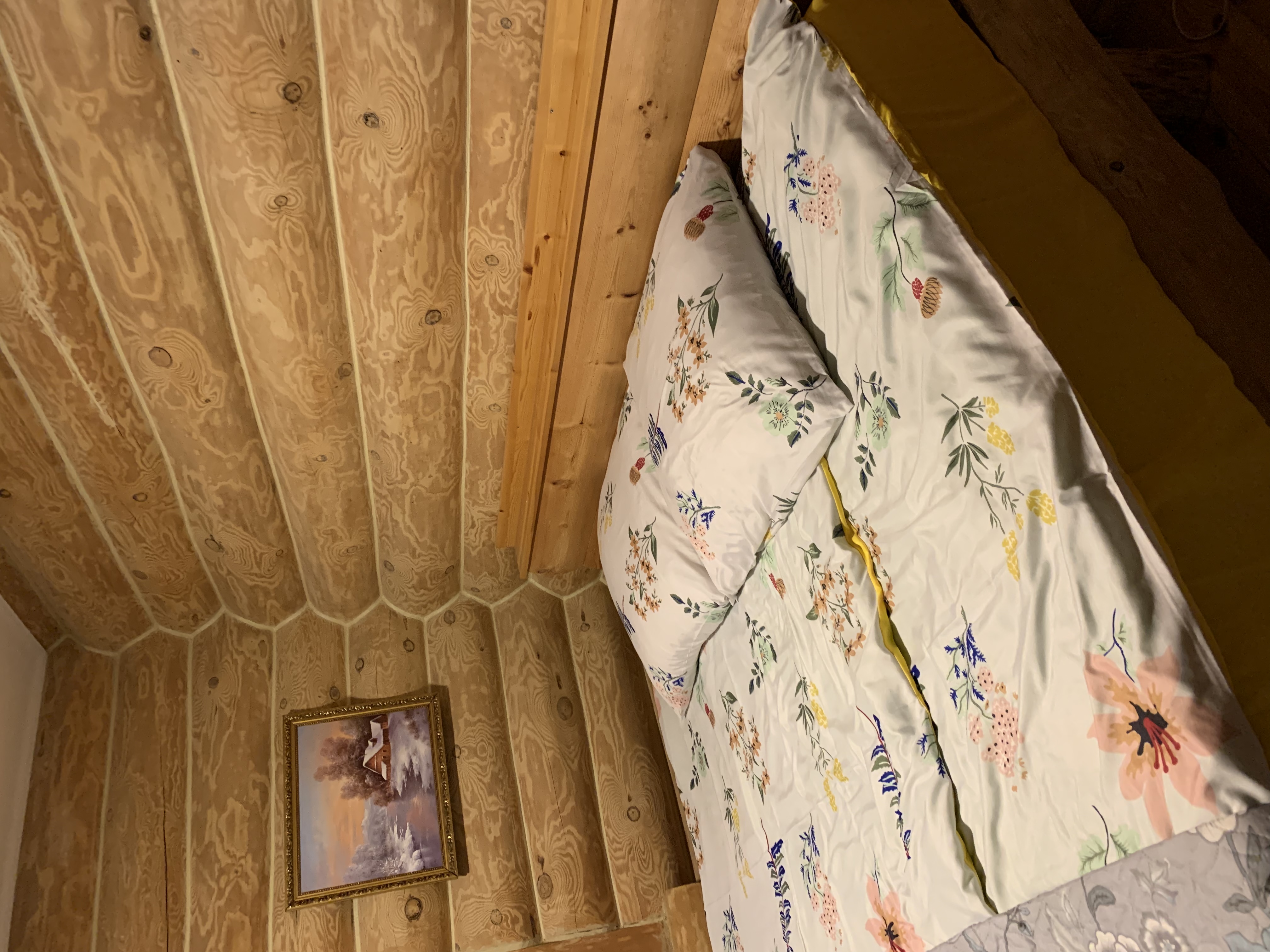 Фото Три Богатыря