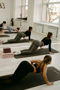 Clomidol � ������ �����������: ����.