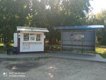 Плодосовхоз – Дом культуры (Voronezh Region, Novousmanskiy rayon, Babyakovskoye selskoye poseleniye, posyolok 1-go otdeleniya sovkhoza "Novousmanskiy", Sadovaya ulitsa), parada de transporte público
