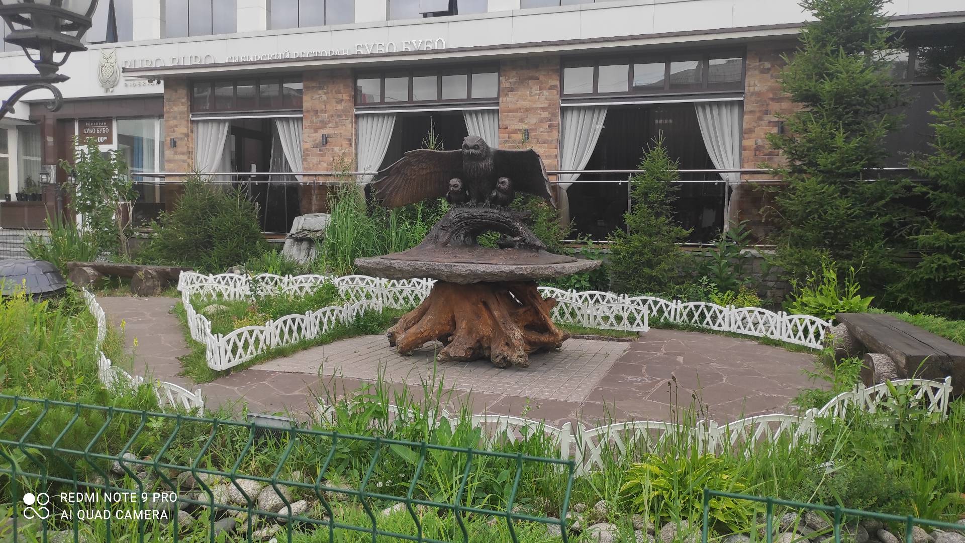 Фото Снежная сова