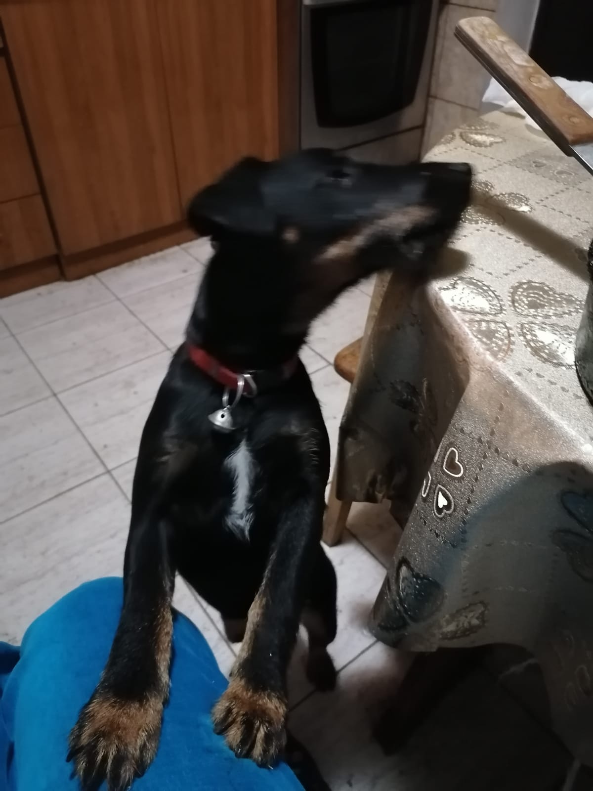 Фото Жемчужина