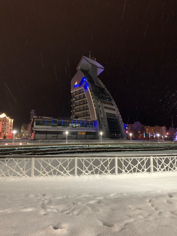 Фото Карибу