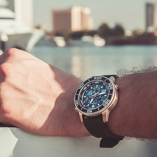 Watch shop Citizen Watch, Dubai, photo