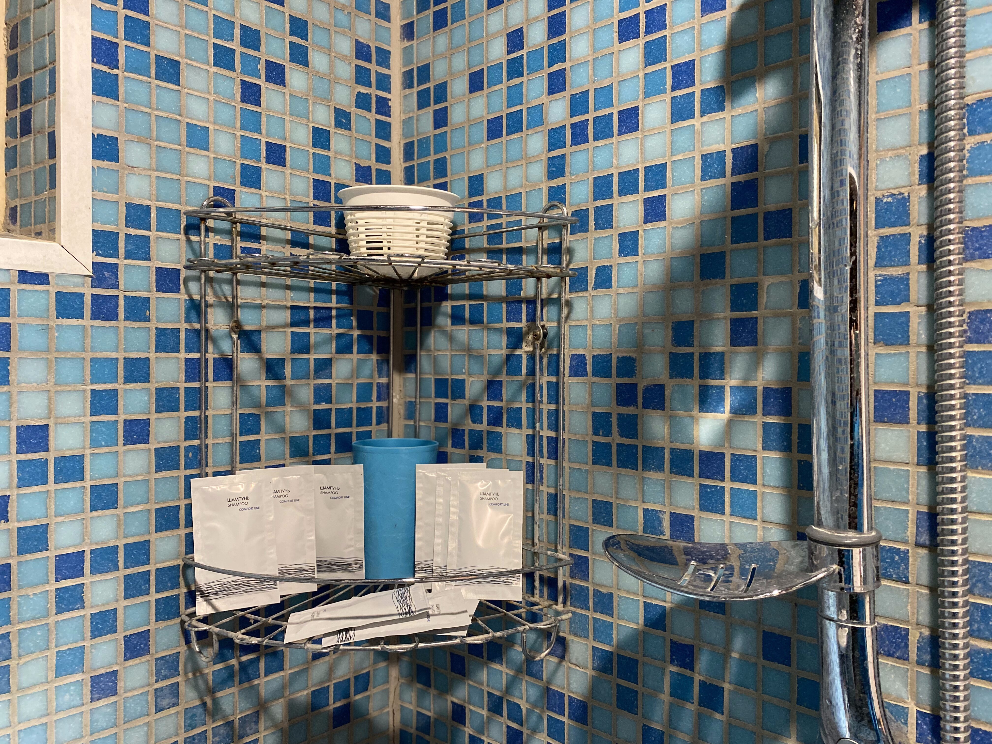 Фото Лаванда