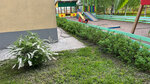 Доброград (5, д. Оржицы), детский сад, ясли в Санкт‑Петербурге и Ленинградской области