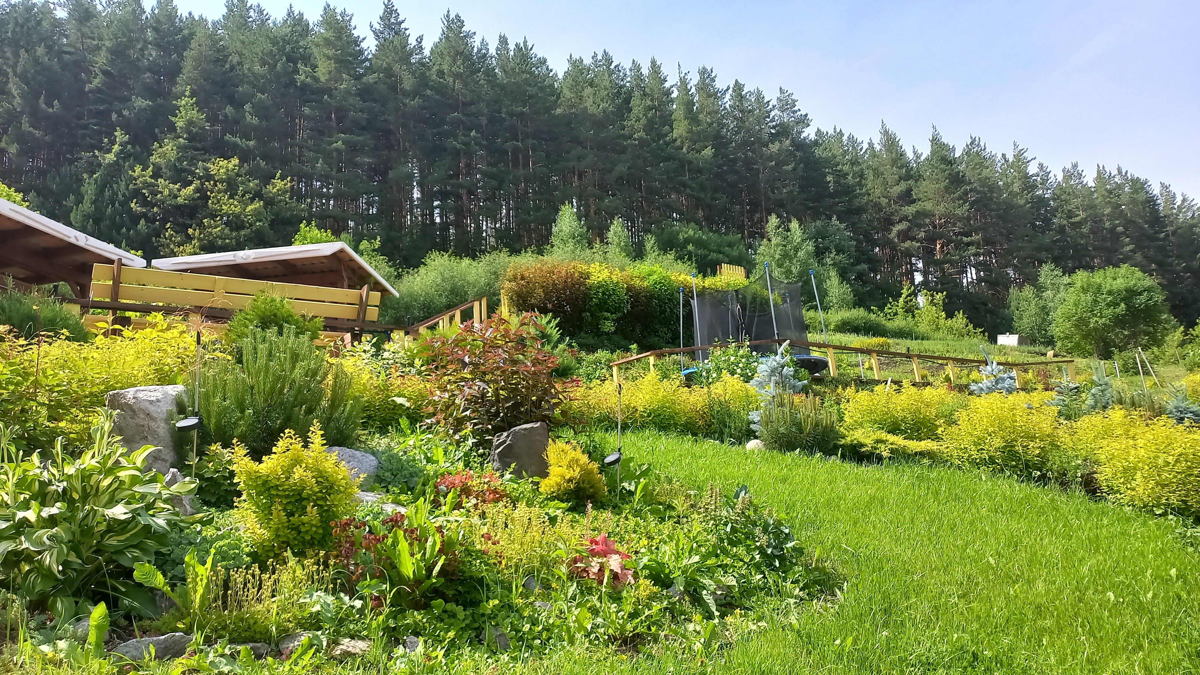 Фото Усадьба Жар-Птица