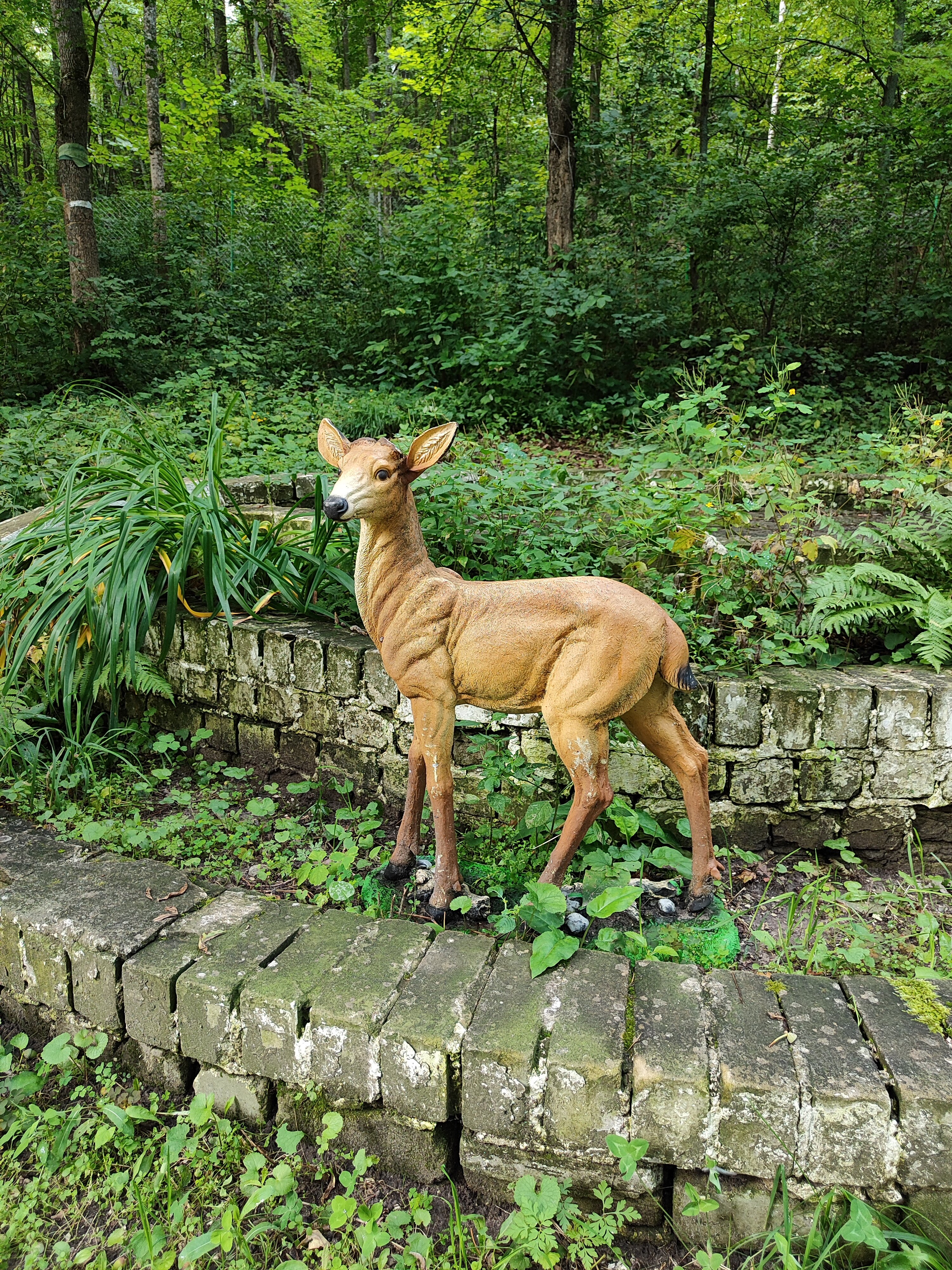 Фото Немецкая Слобода