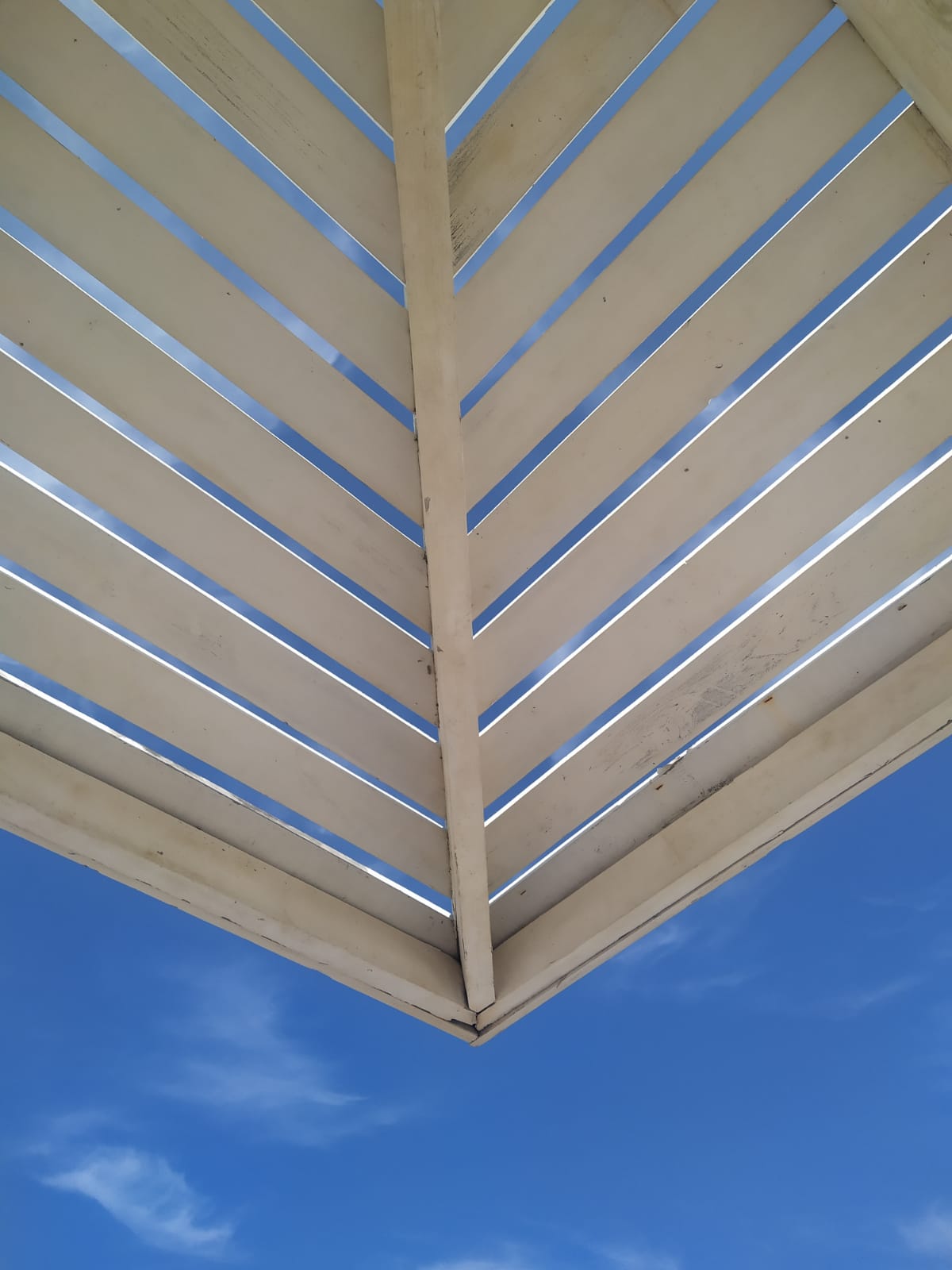 Фото Солнечный