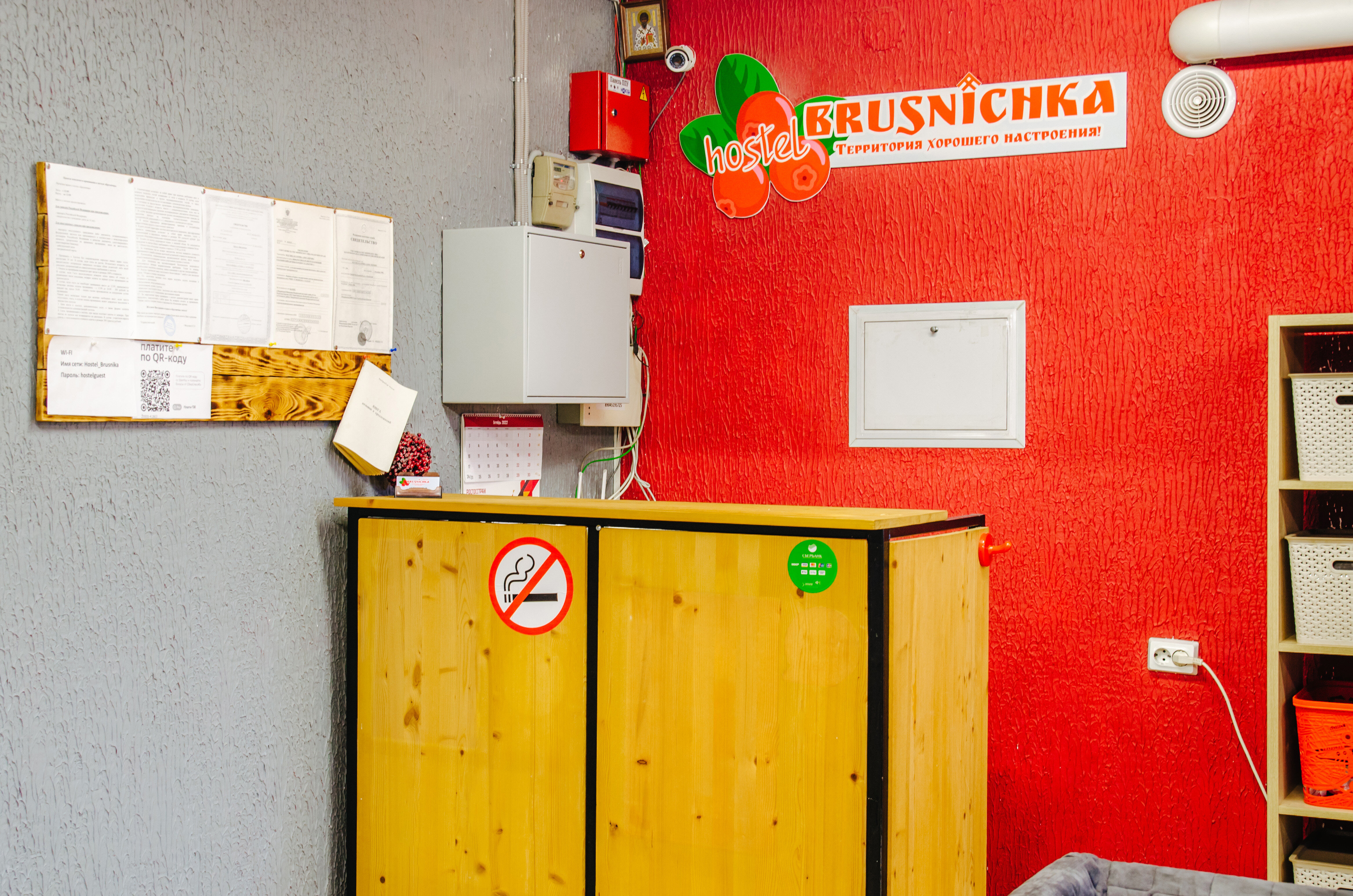 Фото Брусничка