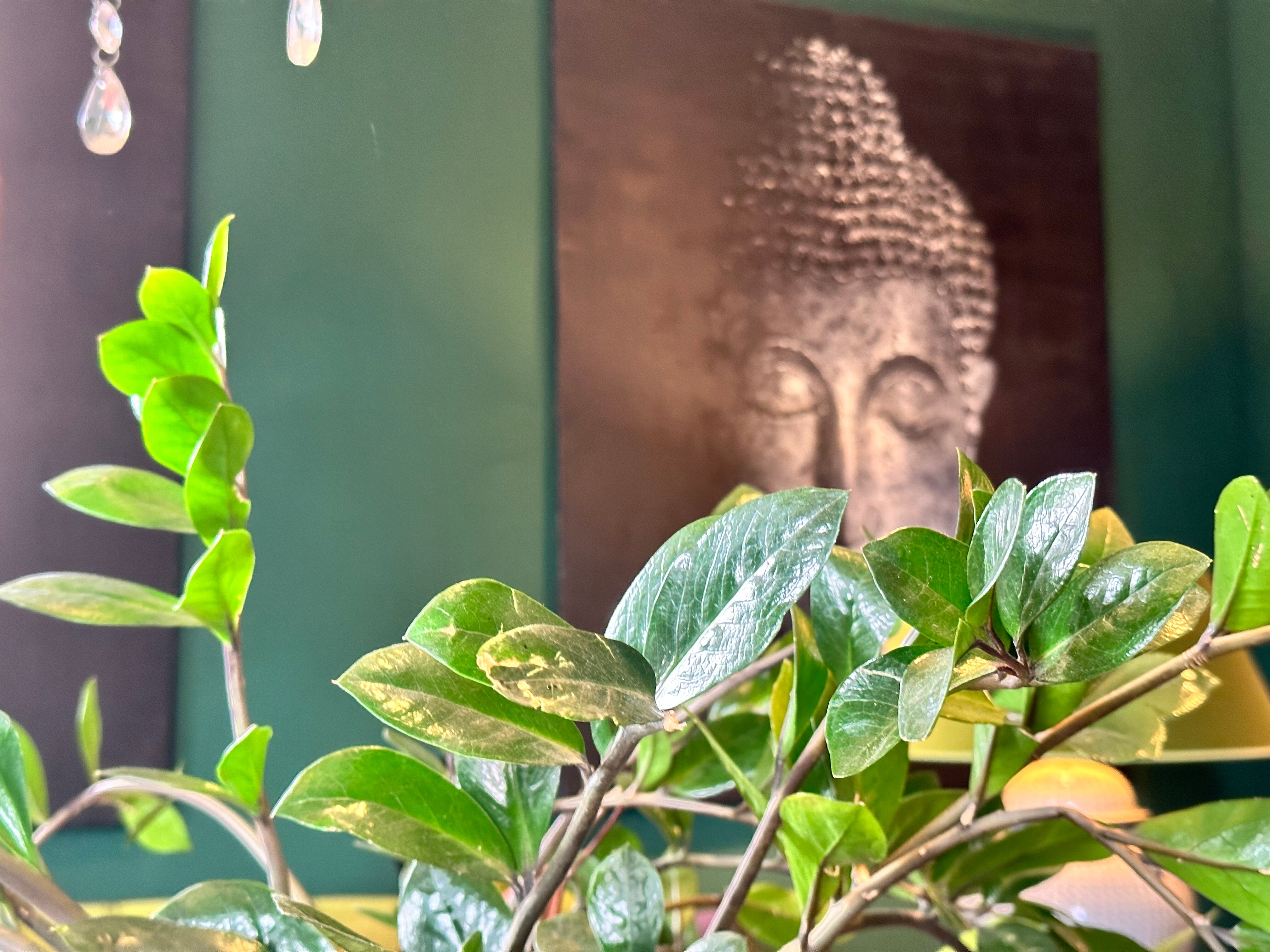 Фото Der Lippische Hof