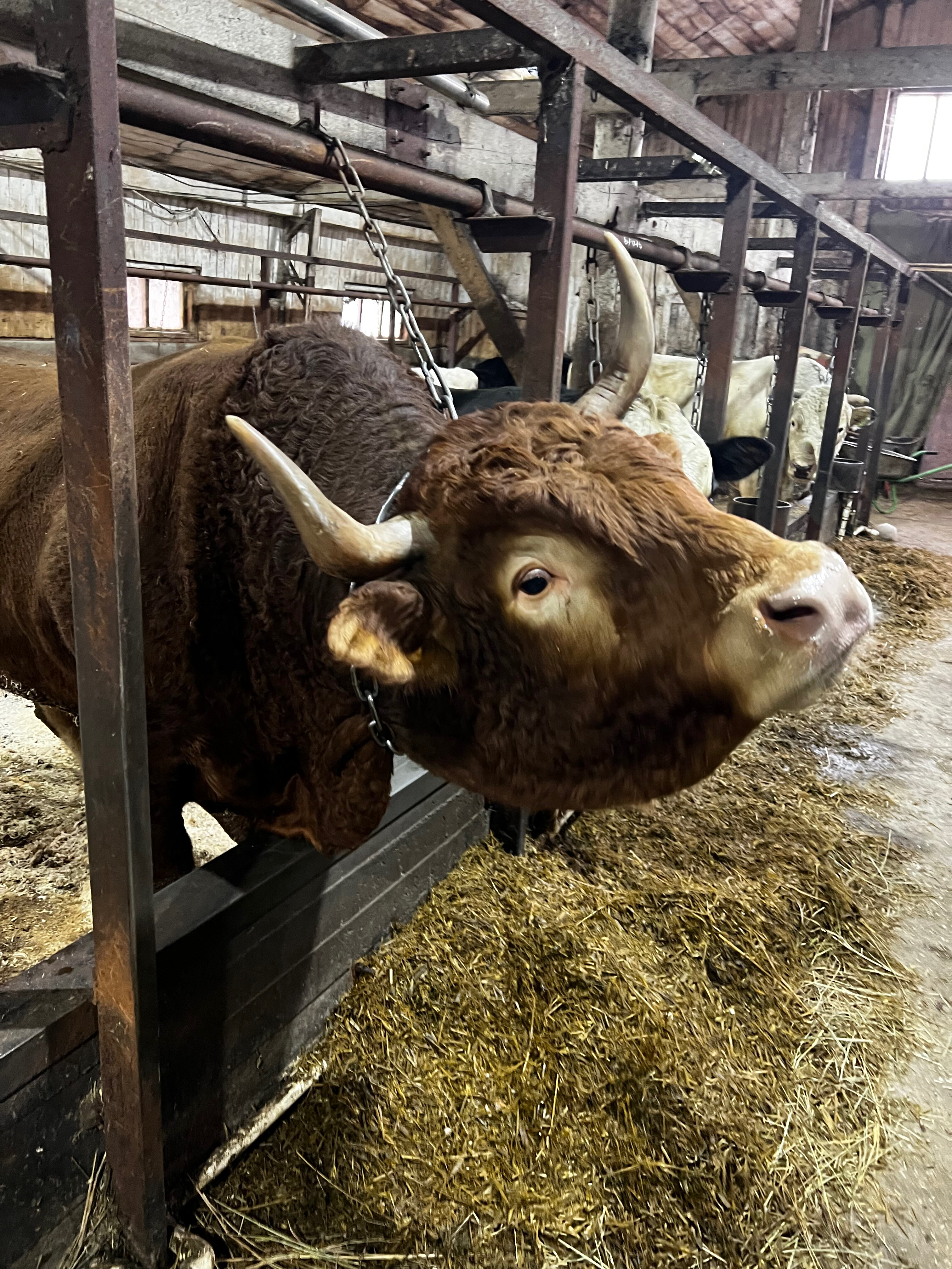 Фото Волжский фермер