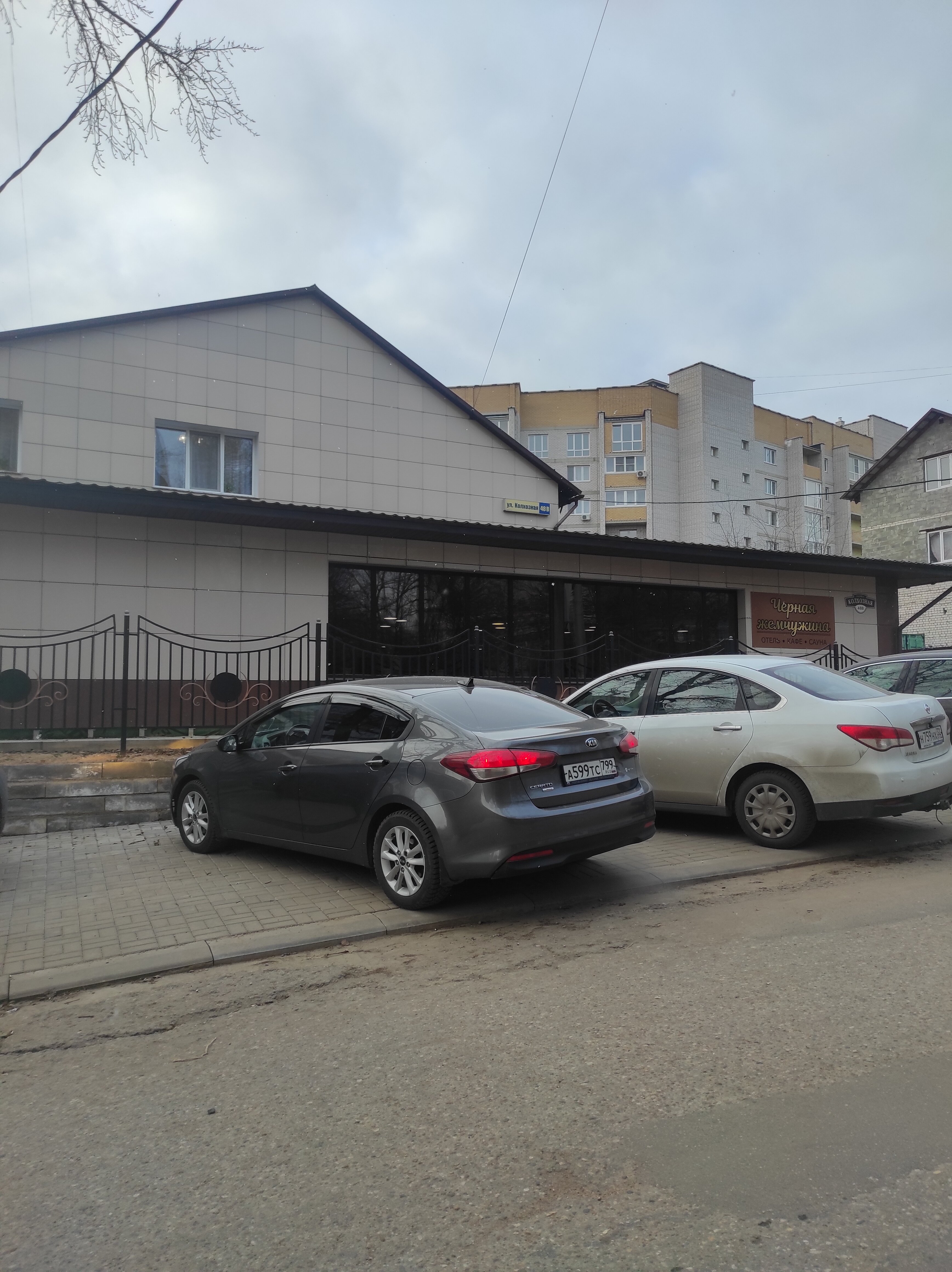 Фото Чёрная жемчужина