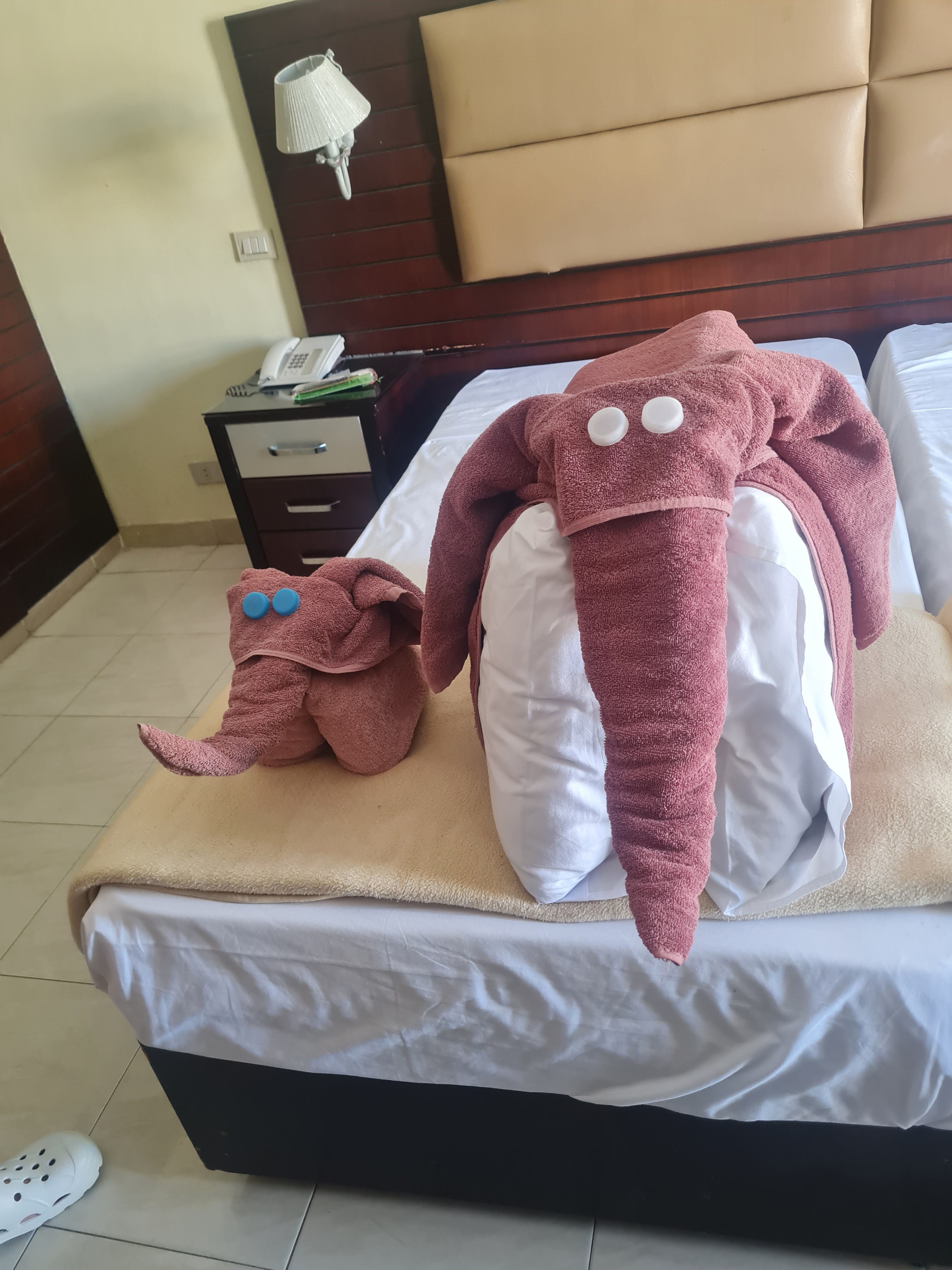 Фото Cataract Layalina Hotel