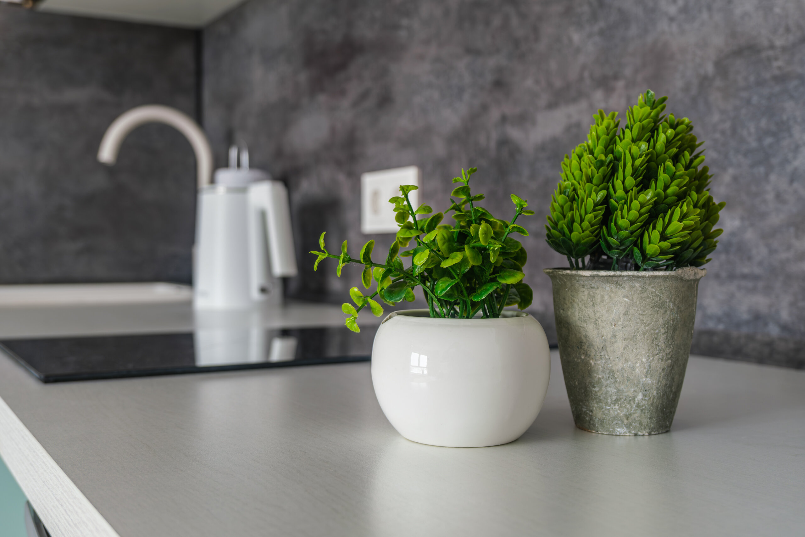 Фото Степаненков