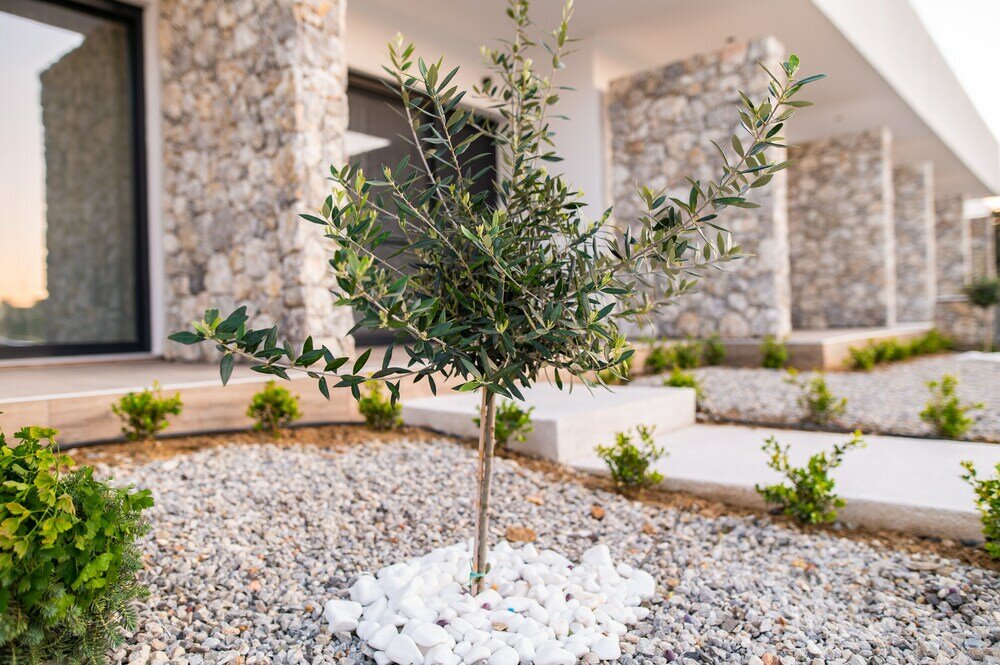 Фото Pebble Garden Olive Branch-Magnolia
