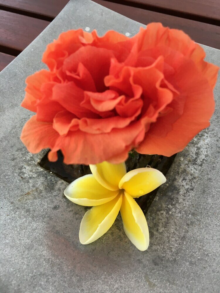 Фото Silence Garden