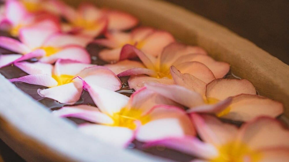 Фото Ayur Ayur Ayurveda Retreat