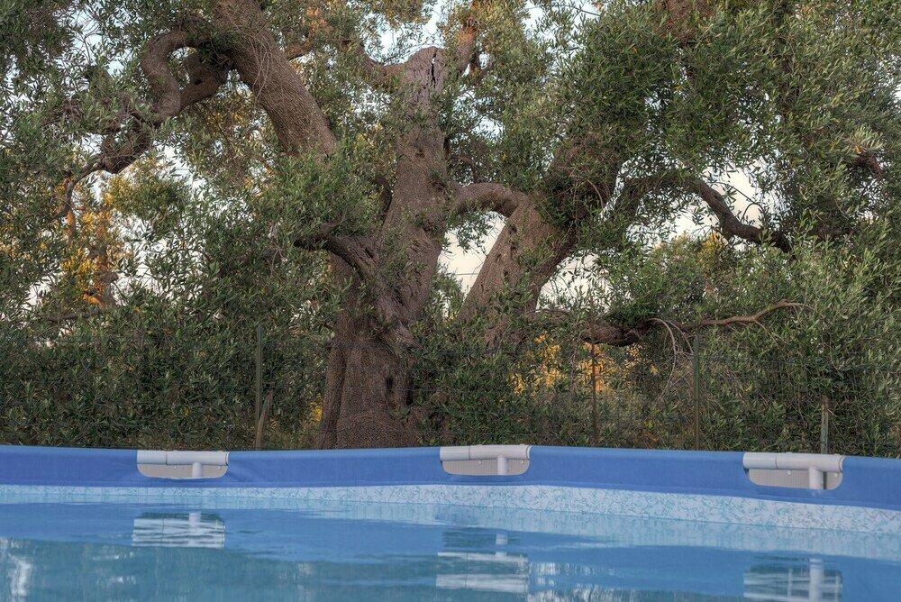 Фото Trullo del Falegname Ostuni by Typney