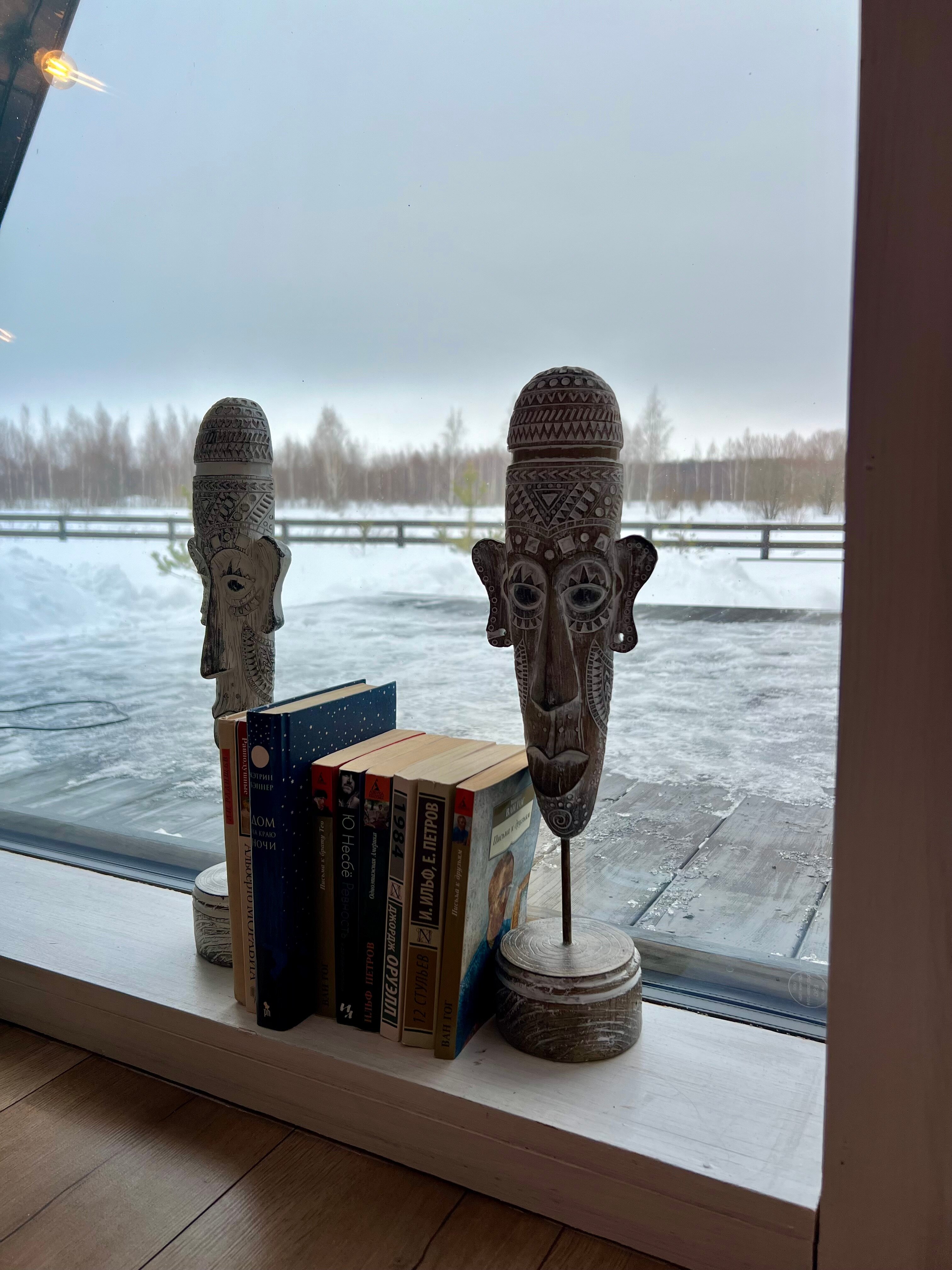 Фото Лес и небо