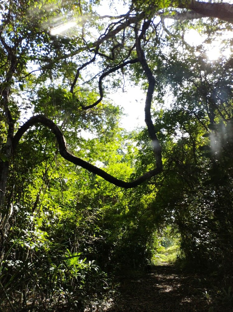 Фото Casados Ranch