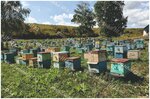 Apiary Farm (Adolf Ianýshkevıch kóshesі, 126), elaboración de productos de alimentación